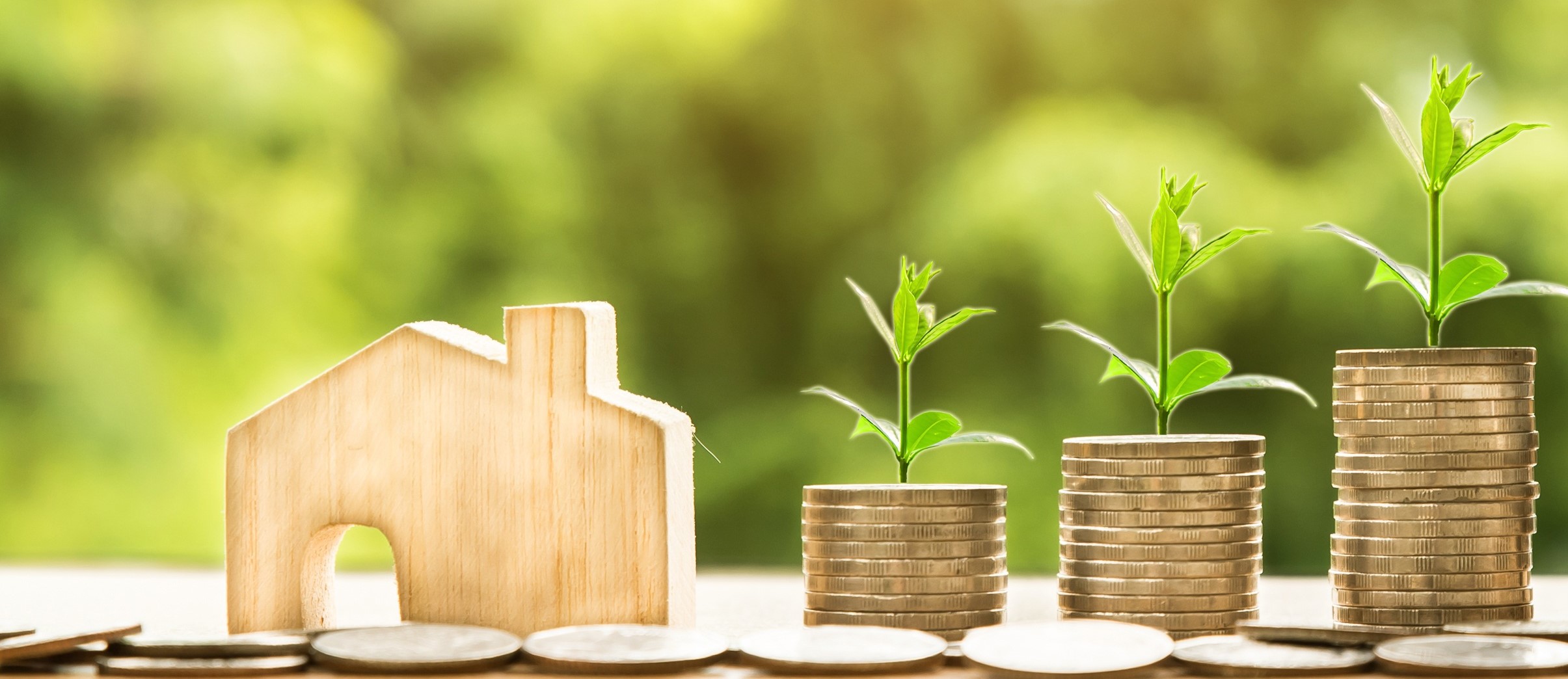 Family Farms Group | Blog | Allen Lash